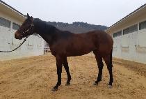 �����ġ (WORLD MATCH) ����