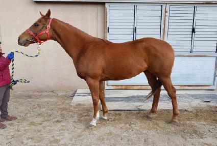 ���Ͻ� ����