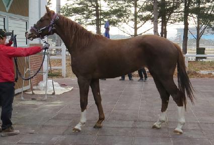 ��ũ���Ӵ� ����