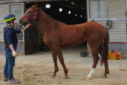 �̺��� ����