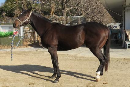 �뱺�Ǵн� ����