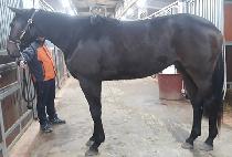 ���ǿ��� (SINUI YEOLMAE) ����