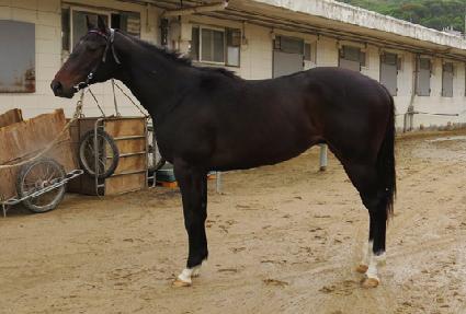 �ǹ���� ����