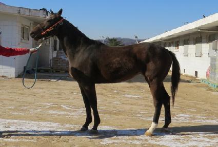 ���̽ý��ʹϳ� ����