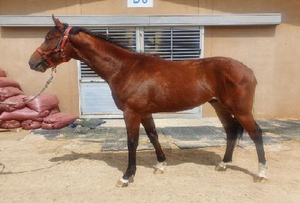 �ǿ����� ����