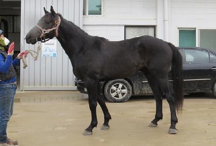 �����ǹ� ����