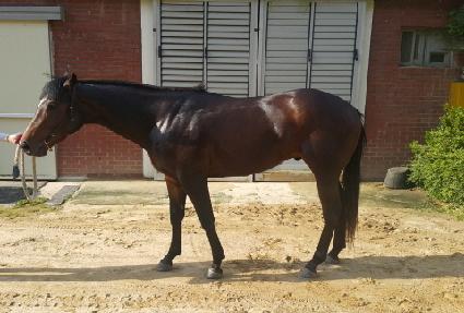 ŷ�˸��ٹ� ����