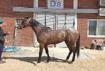 Ʈ���ȸ��� (TRAFFIC MARINE) ����