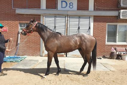 Ʈ���ȸ��� ����