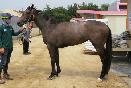 ���������� ����