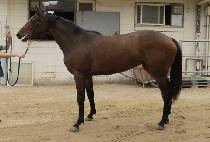 �����˸��ٹ� (MAGIC ALIBABA) ����