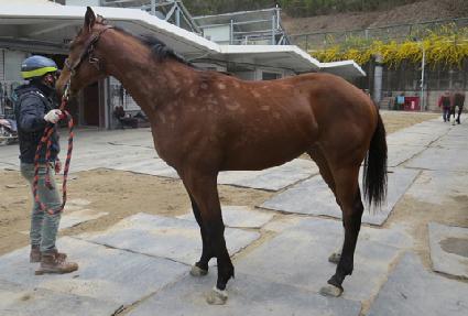 ������ŷ ����