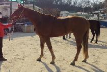 ���Ͻ����� (LIAM��S MOONEY) ����