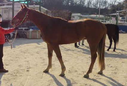 ���Ͻ����� ����