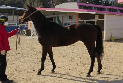 ����Ʈ�� ����