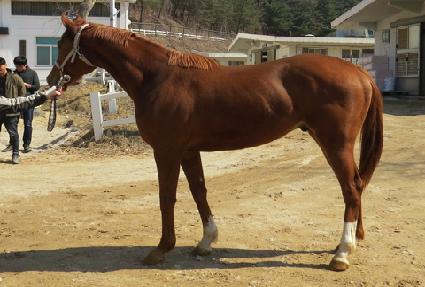 ��ġ�������� ����