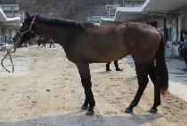 ����Ʈ����Ʈ (EXIT POINT) ����