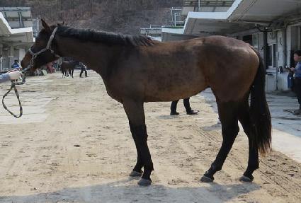 ����Ʈ����Ʈ ����