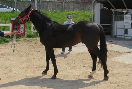 �����̸̹� ����