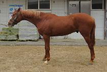 �����̸��� (D K MARU) ����