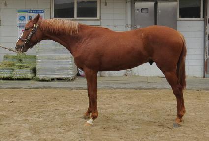 �����̸��� ����