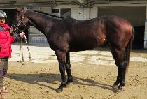 �����̳��� (D K NARIN) ����