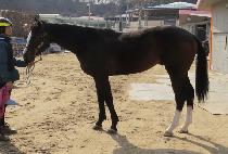 ��Ʈ���������� (PATRIOTS TALE) ����