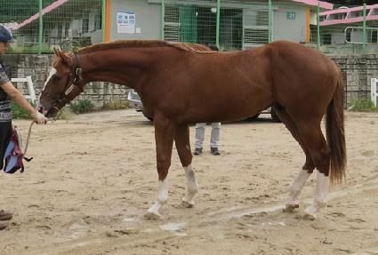 �������۹̸� ����