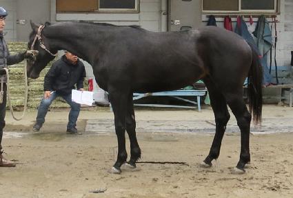 ĸƾ������ ����