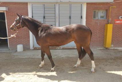 �Ŀ������� ����