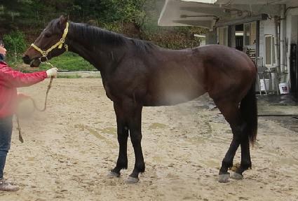 �Ƹ޸�ĭ������ ����