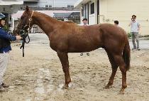 ���ں��� (ECHO VICTOR) ����