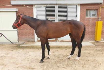 ���̳������� ����