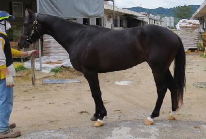 ���ں� ����