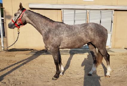 �轺�� ����