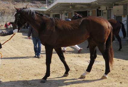 ����Ʈ���� ����