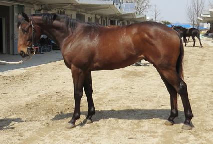 ��ũ¯ ����