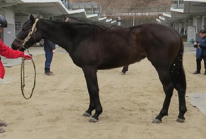 �����̱� ����