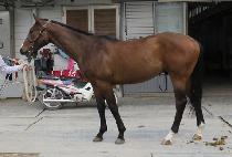 ���󽺸�Ʈ (JEONGSANG SMART) ����