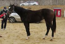 ������ (GEUMJAYU) ����