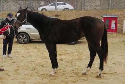 ������ ����