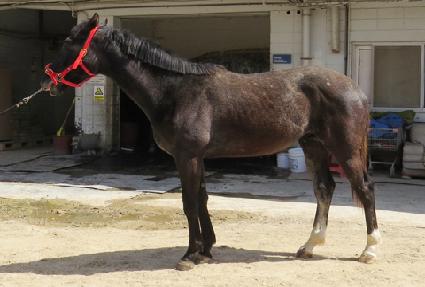 �׷���ŷ�� ����