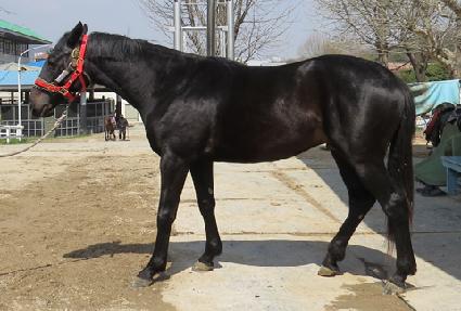 ���̽��� ����