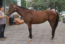 õ�� (CHEON GUN) ����