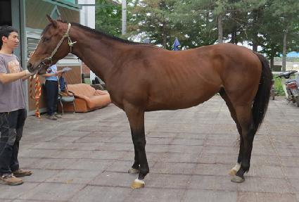 õ�� ����