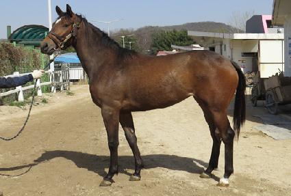 ��͸� ����