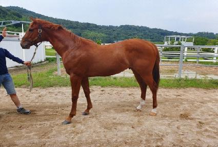 ����Ÿ�̰� ����