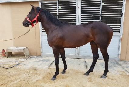 ��󺸻�� ����