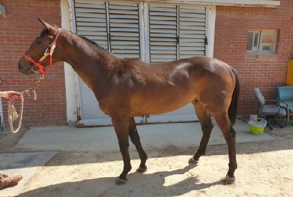 ���ۻ�Ÿ ����