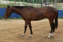 ��귰Ű (JANGSAN LUCKY) ����